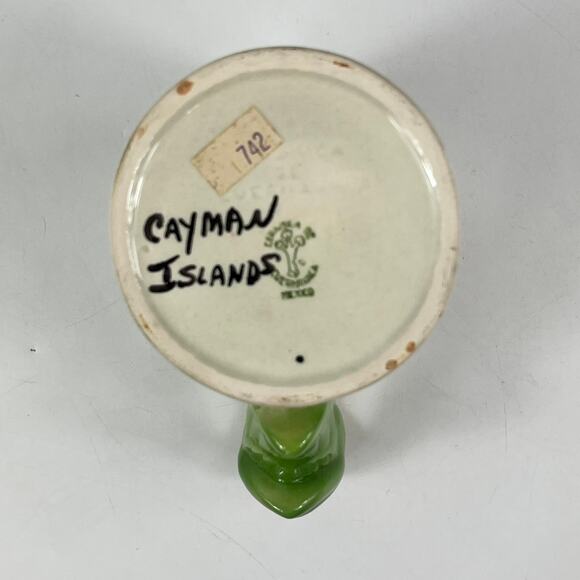 Cayman Islands Coffee Tea Mug Cup Travel Souvenir Mexico Bird In Hand Parrot - Picture 6 of 10